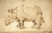 Rhinoceros, Albrecht Durer